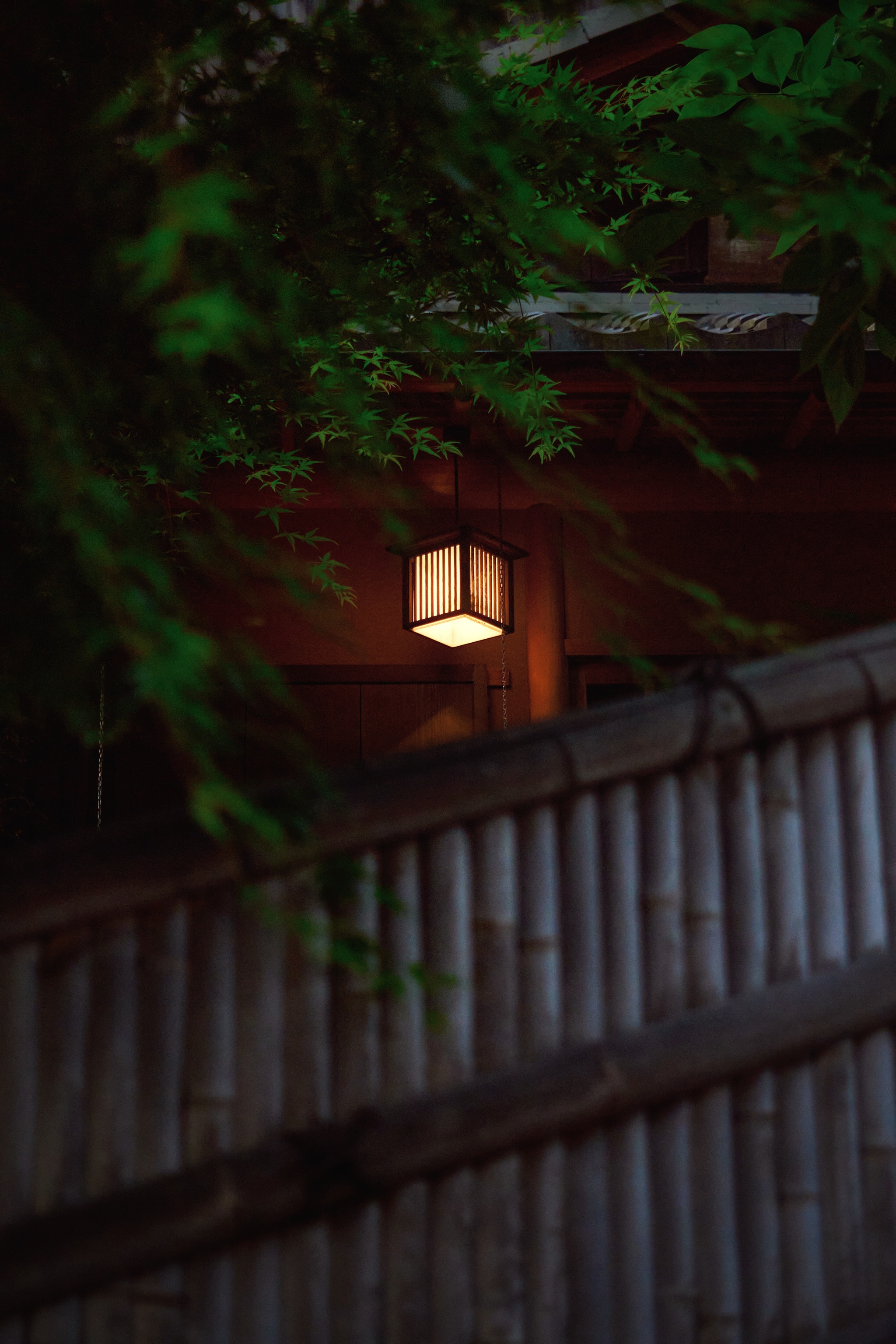 Kyoto - My, Japan, Kyoto, Travels, Sony, The photo, Longpost