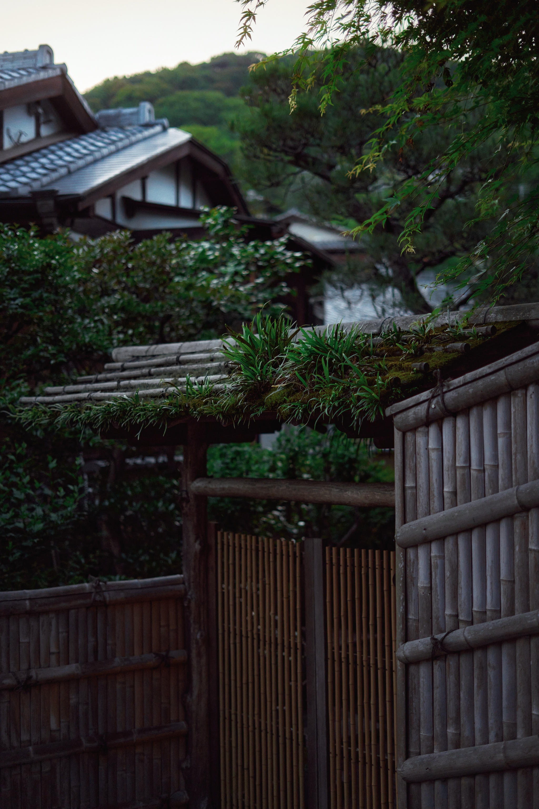 Kyoto - My, Japan, Kyoto, Travels, Sony, The photo, Longpost