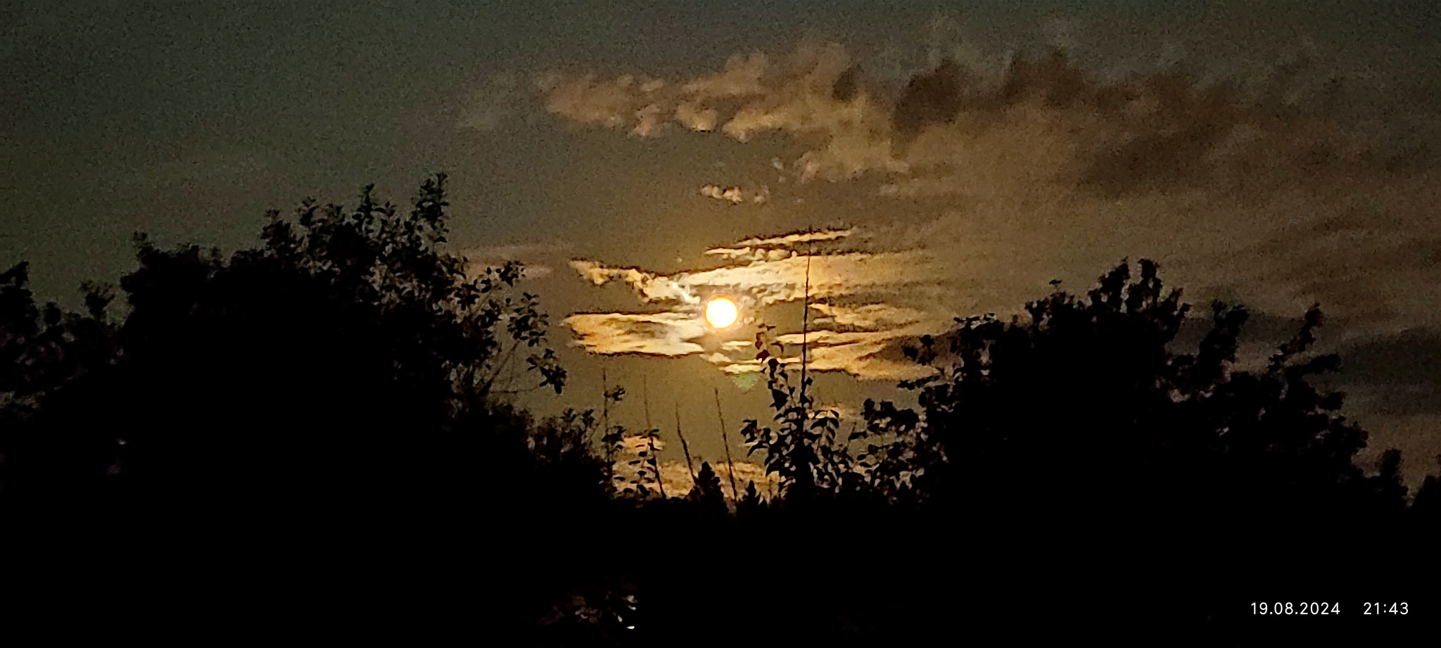 Sturgeon Moon 08/19/2024 - My, moon, Night, Clouds, The photo