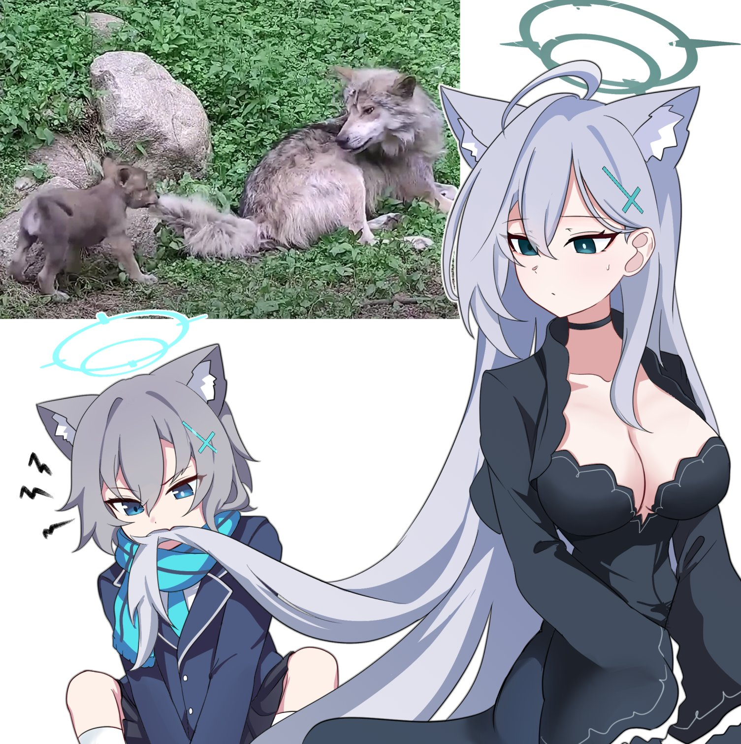 Волчары - Blue archive, Sunaookami Shiroko, Shiroko Terror, Арт, Девушки, Игры, Anime Art, Аниме, Animal Ears, 2D vs 3D