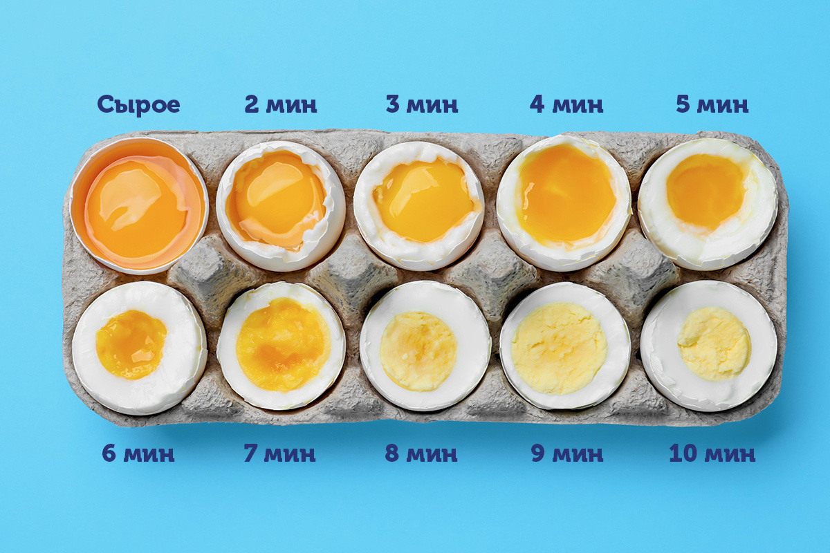 How to boil eggs - Recipe, Eggs, Egg, Cooking, Categories, Cooking, Want to know everything, Informative, Yandex Zen (link), Longpost, Time, Result, Yolk, Protein, Products, Nutrition, Instructions, Life hack