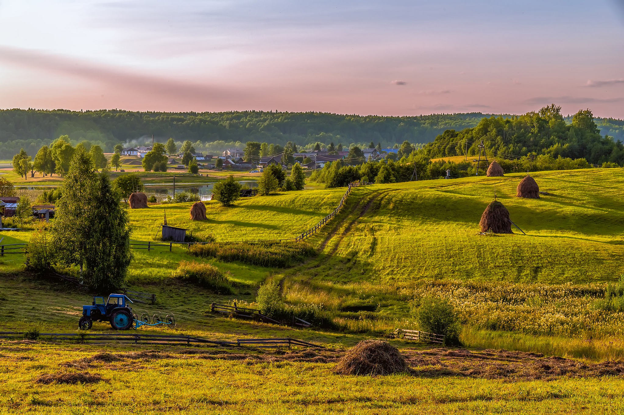 The modest beauty of the North - Meadow, North, Arkhangelsk region, The photo, Beautiful view, Landscape, Nature