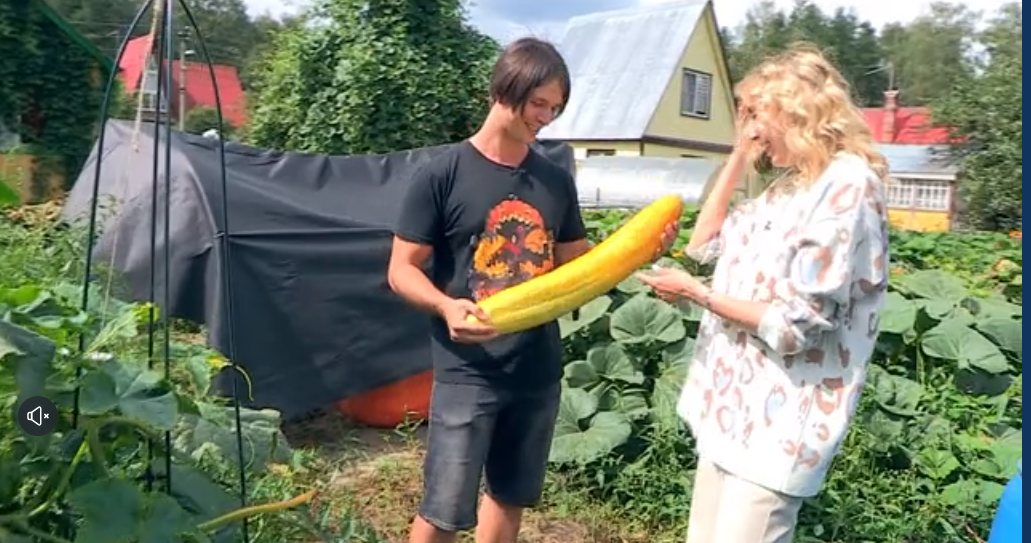 Growing Giant Vegetables 2024. Part 9 - My, Garden, Gardening, Garden, Сельское хозяйство, Plants, Big size, Vegetables, Video, Longpost