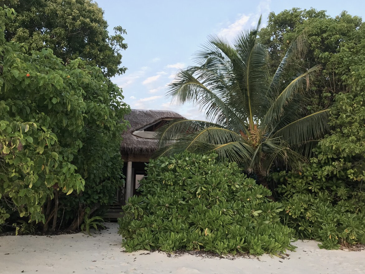 Live in paradise and save up for an apartment. How he got a job on a private island - My, A life, Travels, Longpost, Telegram (link)