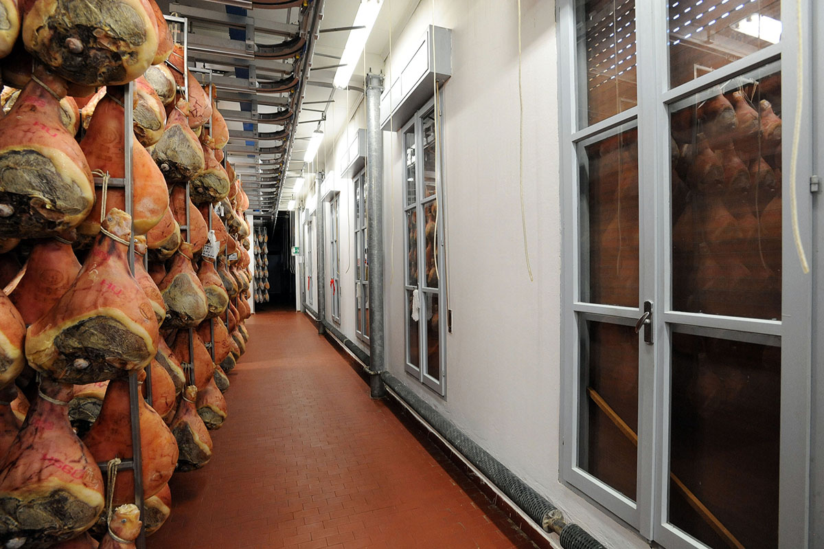 How to make prosciutto in Parma - Production, How is it done, Ham, Prosciutto, Longpost