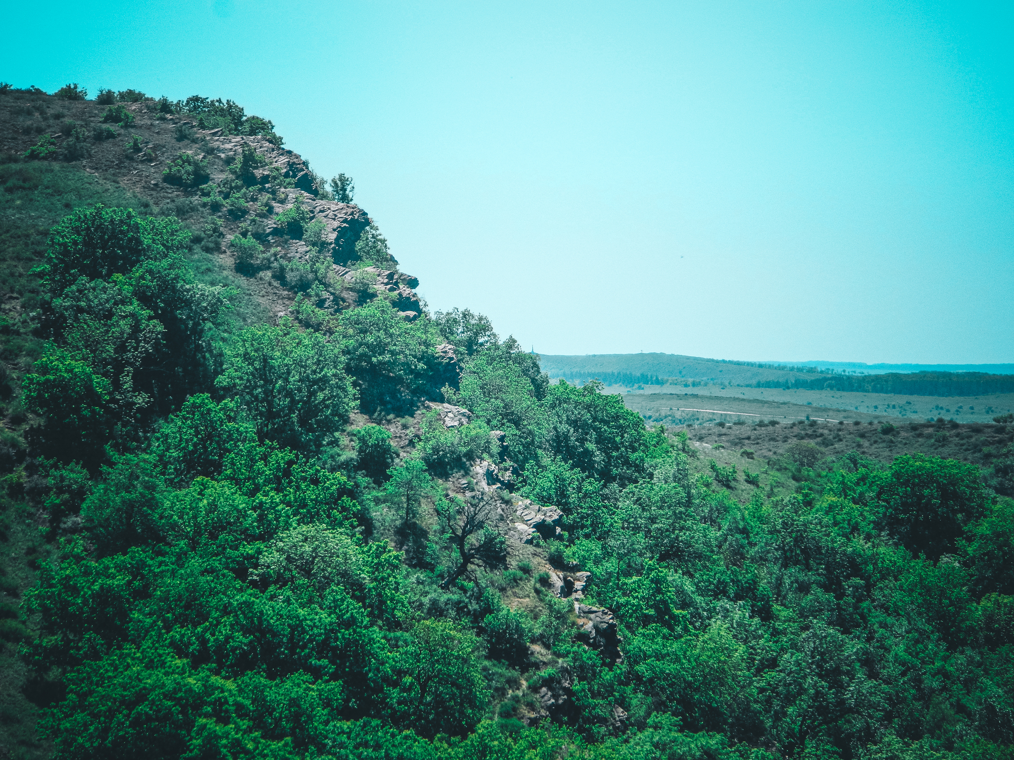 Natural - My, The photo, Anthracite, Nikon d3100, Greenery, The rocks, Longpost