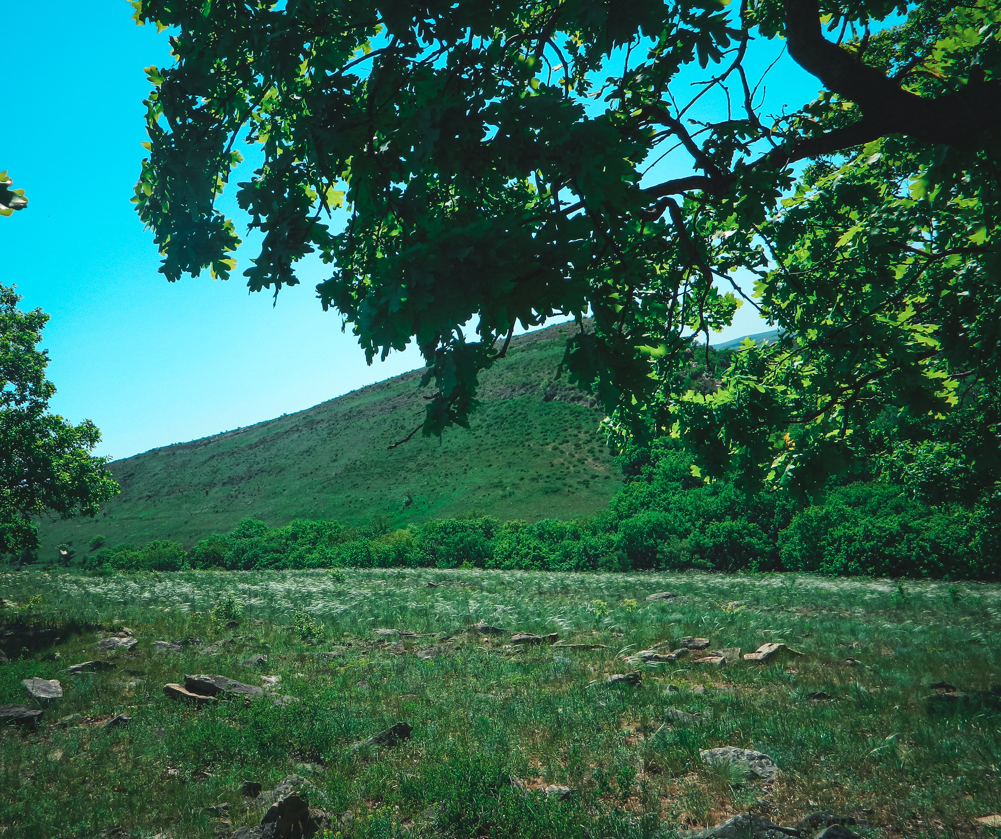 Natural - My, The photo, Anthracite, Nikon d3100, Greenery, The rocks, Longpost