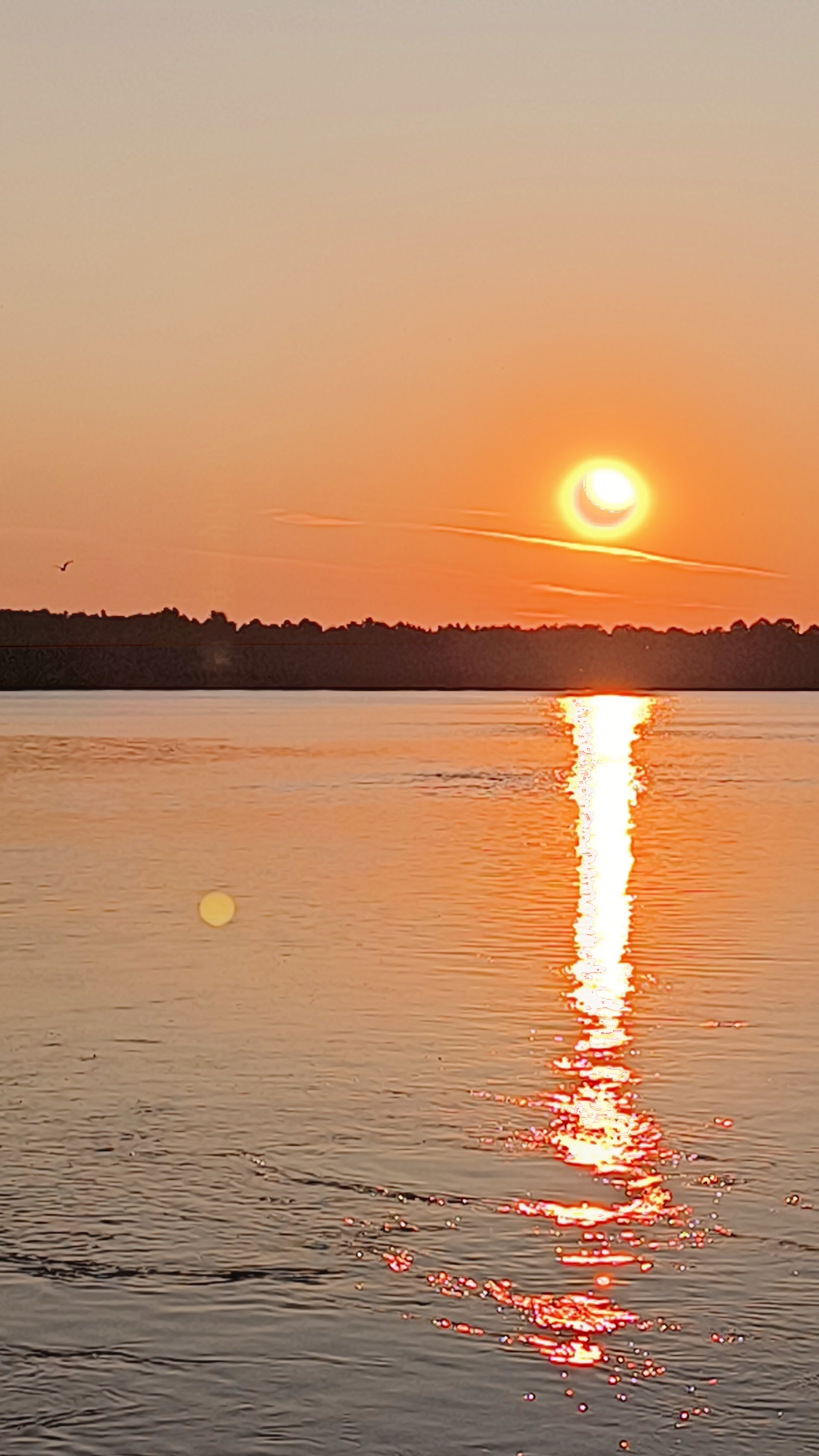 August sunset on the lake - My, Nature, Sunset, Lake, Shatura, Moscow region, Summer, Longpost, Beautiful view, The photo