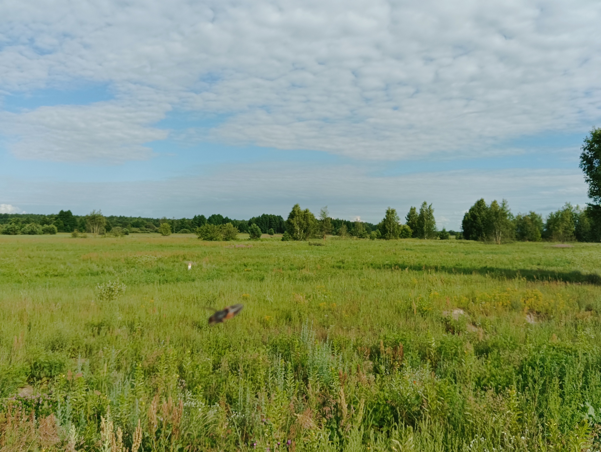 Interesting place in the Ryazan region - My, A bike, Cyclist, Bike ride, Bike trip, Gravel, Bikepacking, Longpost