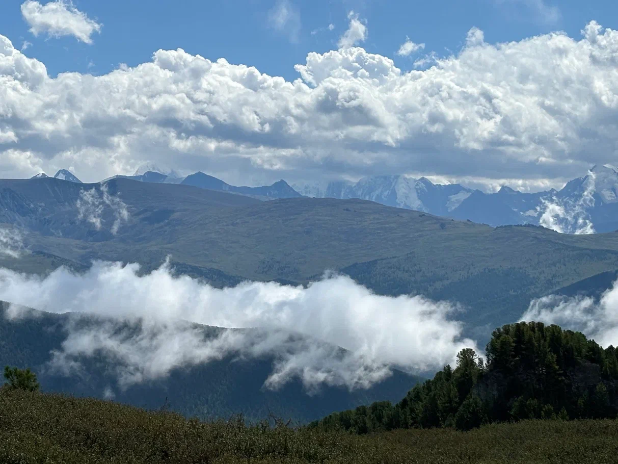 Oroktoy trail to Mount Belukha - My, Beluga Whale Mountain, Hike, Mountain tourism, Altai Republic, Longpost