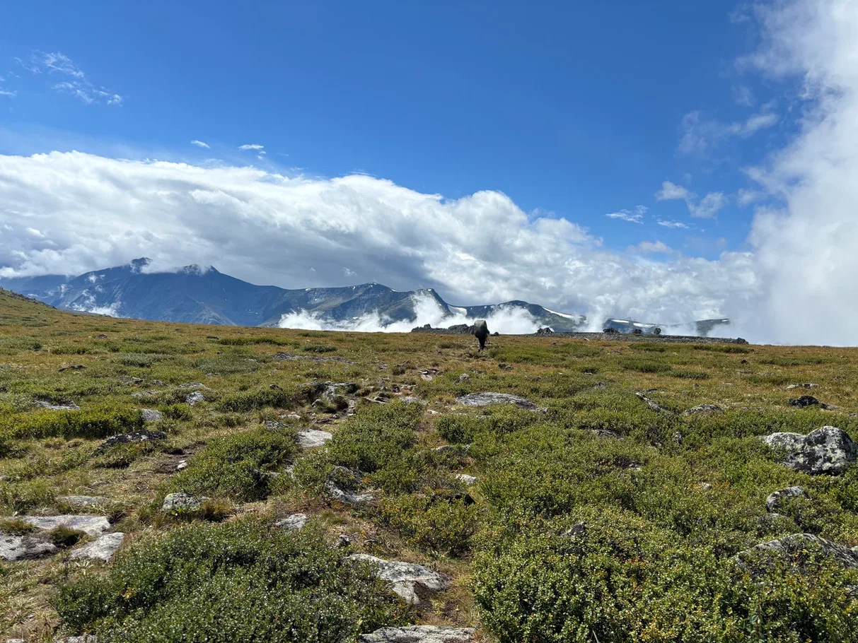 Oroktoy trail to Mount Belukha - My, Beluga Whale Mountain, Hike, Mountain tourism, Altai Republic, Longpost