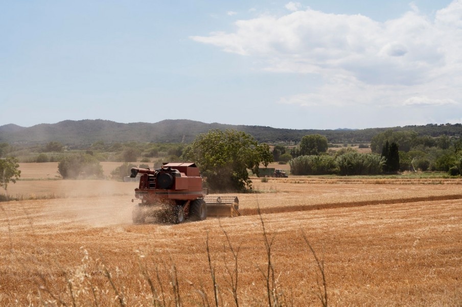 Owners of the land. A significant part of Ukrainian farmland is controlled by transnational corporations - Politics, Economy, Labor Relations, Yandex Zen (link), Longpost