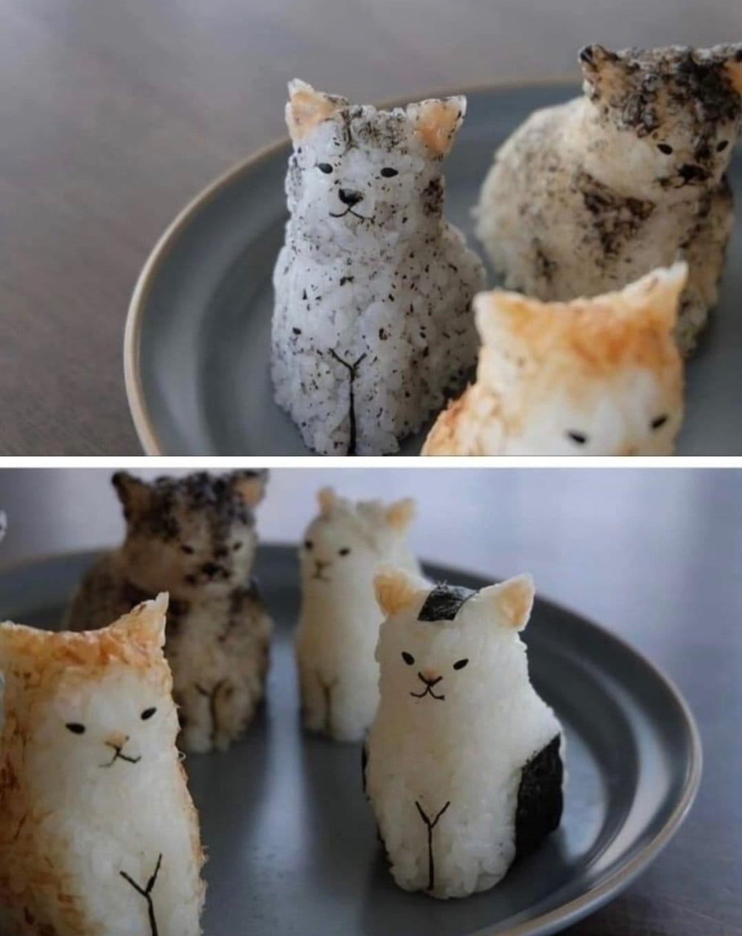 Rice cats - cat, Rice, Figurines, The photo