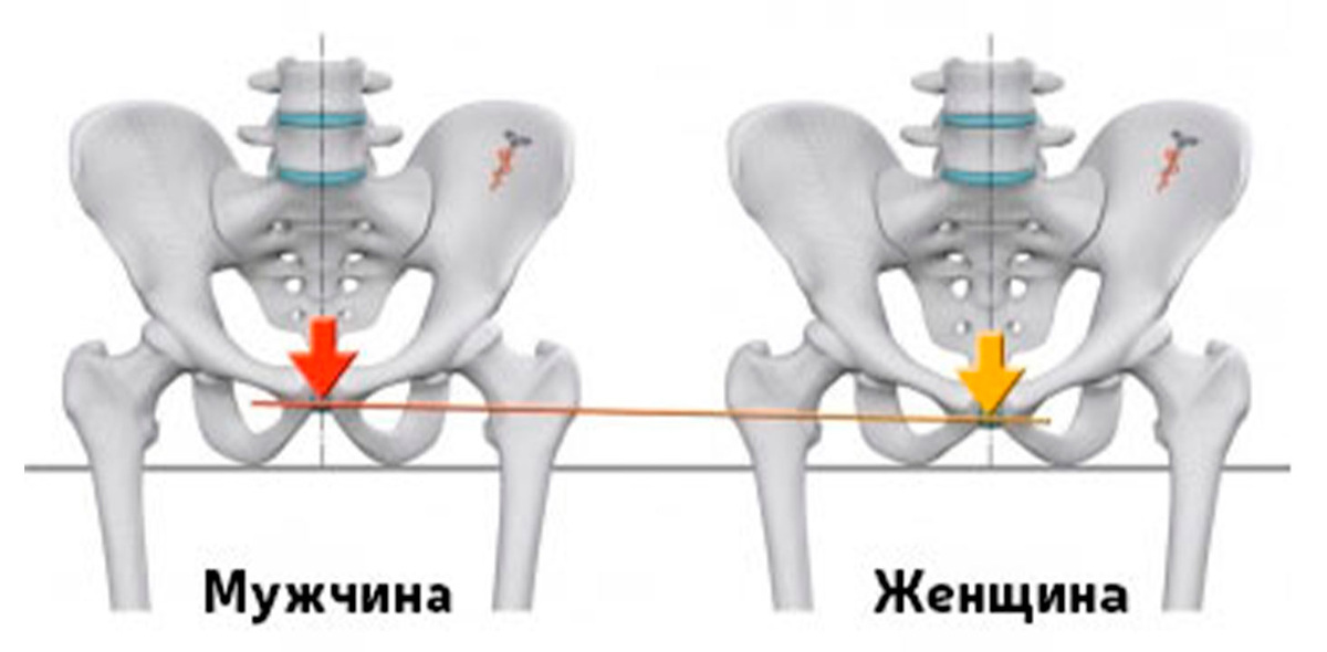 HOW TO CHOOSE AND ADJUST A BICYCLE SADDLE - Cyclist, A bike, Advice, Saddle, Bike ride, Useful, Booty, Joints, Knee, Yandex Zen (link), Longpost, Video, Vertical video, My