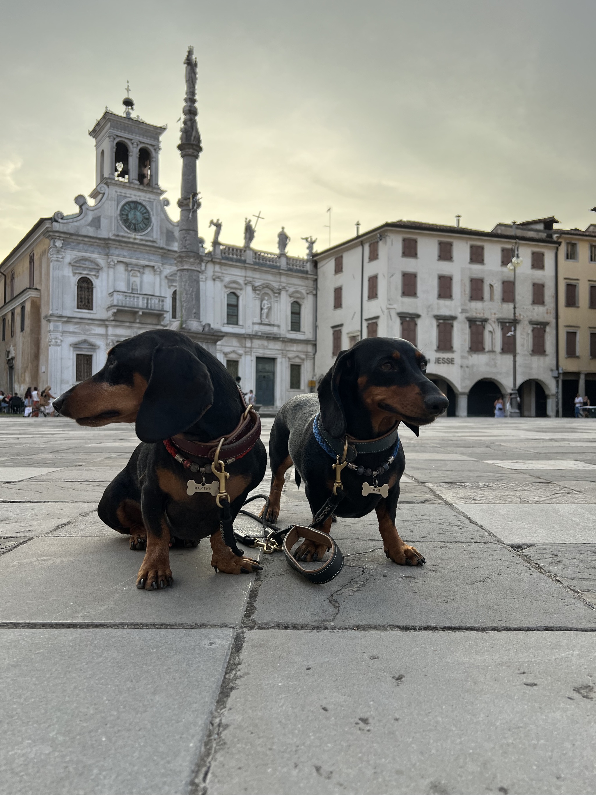 08/22/24 A day in the life of a truck driver with dachshunds in Europe - My, Tourism, Work, Italy, Truckers, Europe, Video, Vertical video, Longpost