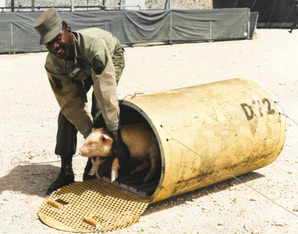 A selection of interesting and unusual photographs from the USA. 20 colored photographs of the twentieth century. Part V - My, Historical photo, Old photo, USA, The photo, Colorization, 20th century, Longpost