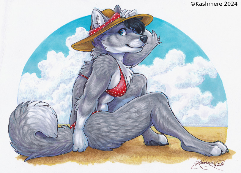 Beach Episode - Furry, Anthro, Kashmere, Furry fox, Beach, Bikini