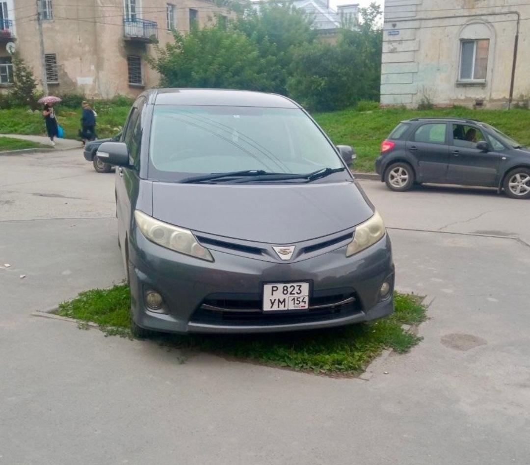 When being an asshole is a real diagnosis - Lawn, Неправильная парковка, Auto, The photo