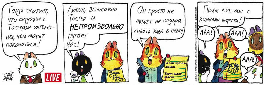 Koteykin News from 08/23/2024 - My, Translation, Koteikin news (comic), Comics, cat