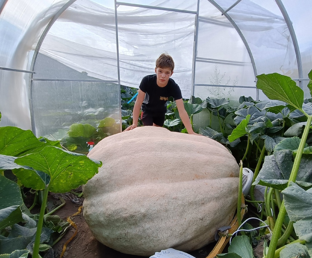 Monster in the garden - Pumpkin, Nerd, Garden, Video, Video VK, VKontakte (link)