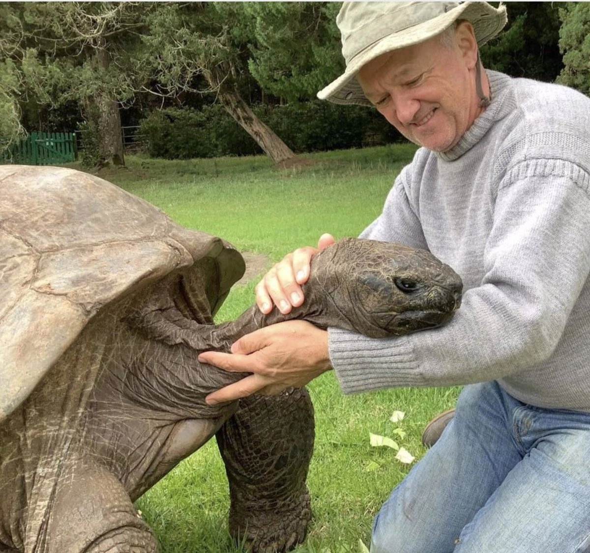 Jonathan is alive and 192 years old. - Turtle, Animals, Longevity, Nature, Picture with text, Longpost, Repeat