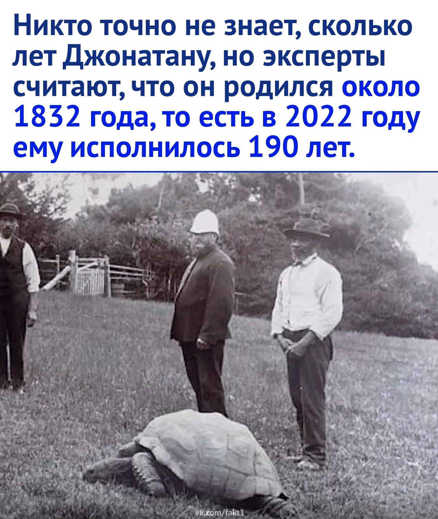 Jonathan is alive and 192 years old. - Turtle, Animals, Longevity, Nature, Picture with text, Longpost, Repeat