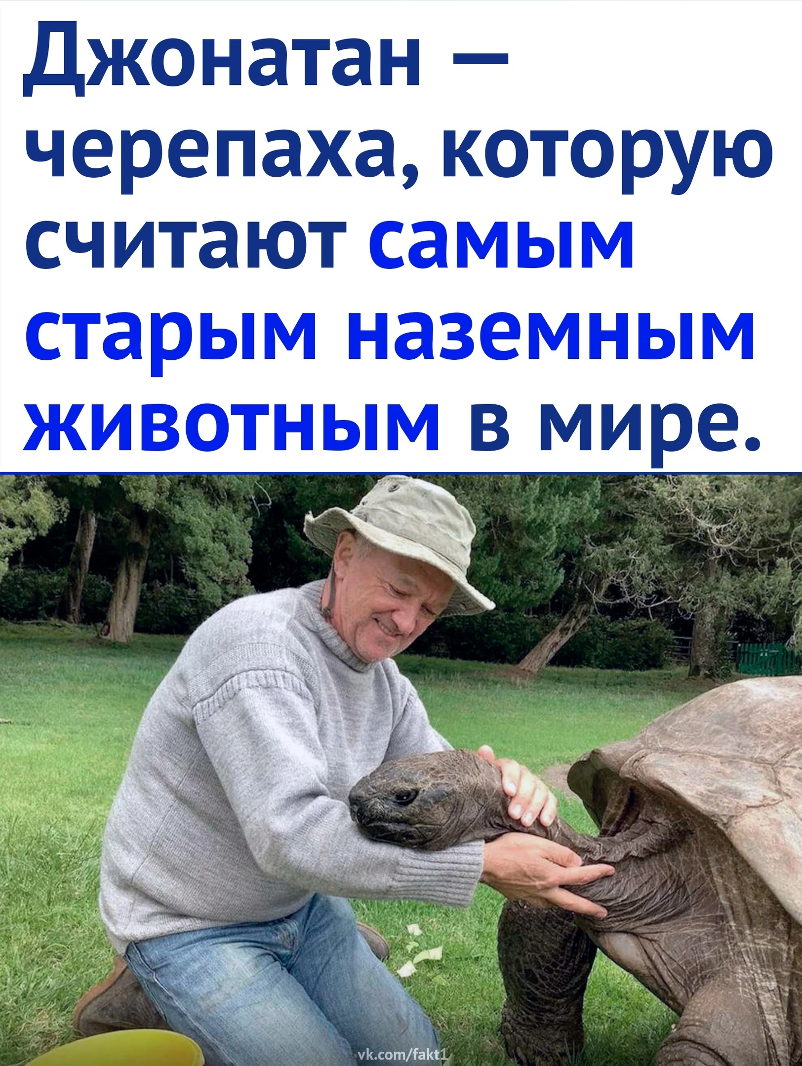 Jonathan is alive and 192 years old. - Turtle, Animals, Longevity, Nature, Picture with text, Longpost, Repeat