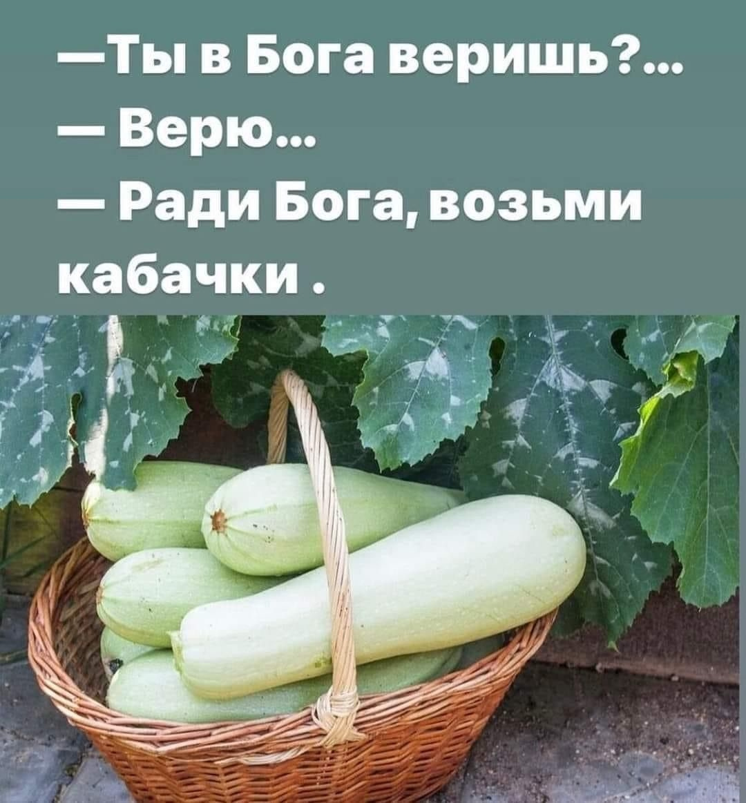 Squash caviar on sale! Come on, hurry up! Healthy again! - Humor, Zucchini, Longpost