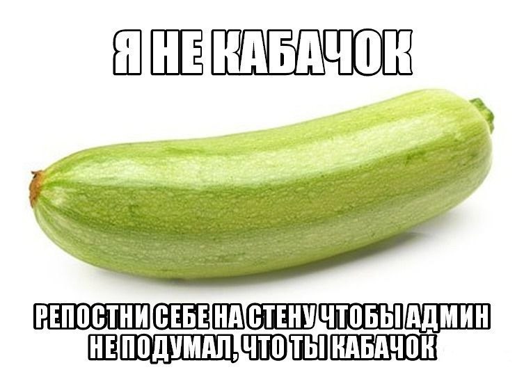 Squash caviar on sale! Come on, hurry up! Healthy again! - Humor, Zucchini, Longpost