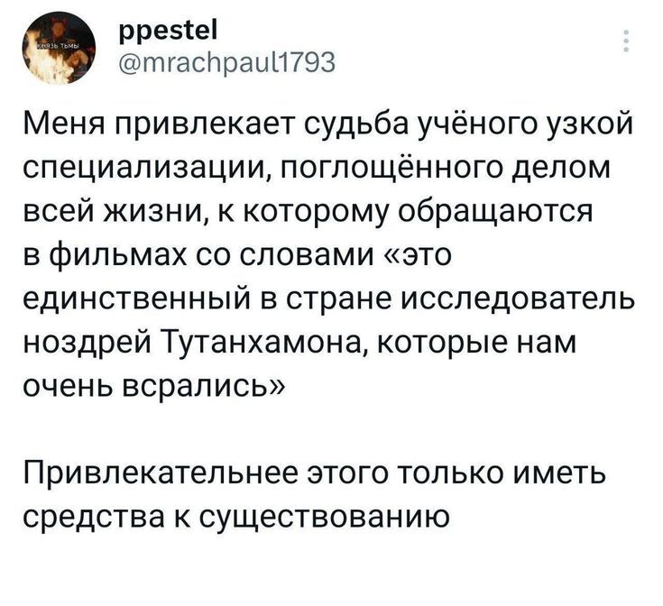 Специалист - Скриншот, Twitter, Юмор, Специалисты, Ученые