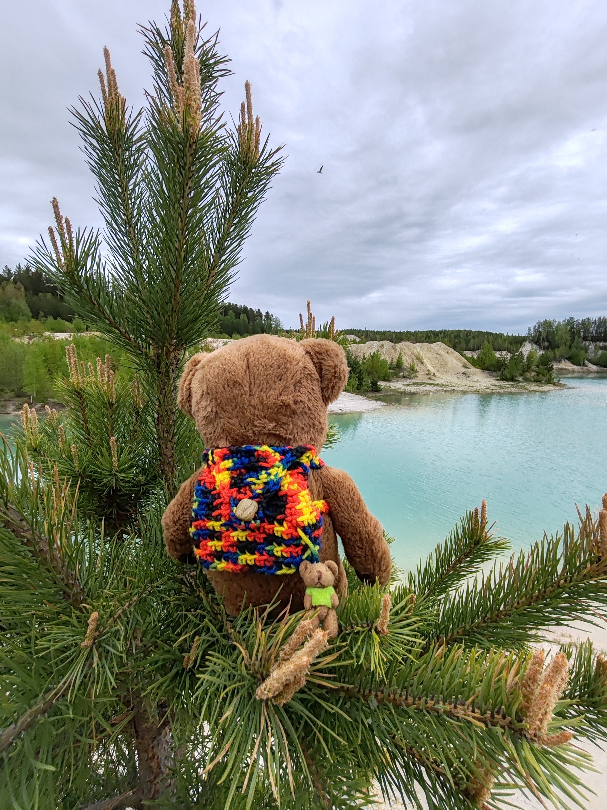 Omsk resident - conqueror of mountains - My, Mobile photography, Sugomak, Soft toy, Ural, Chelyabinsk region, Longpost