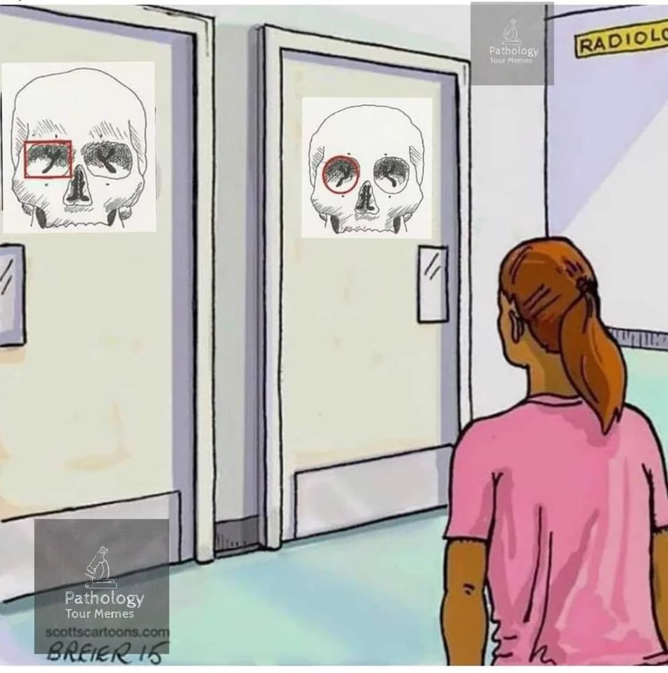 Men's and women's toilets - The science, Biology, Anthropology, Anatomy, Skeleton, Scull, Eyes, Telegram (link), Medical humor, Picture with text