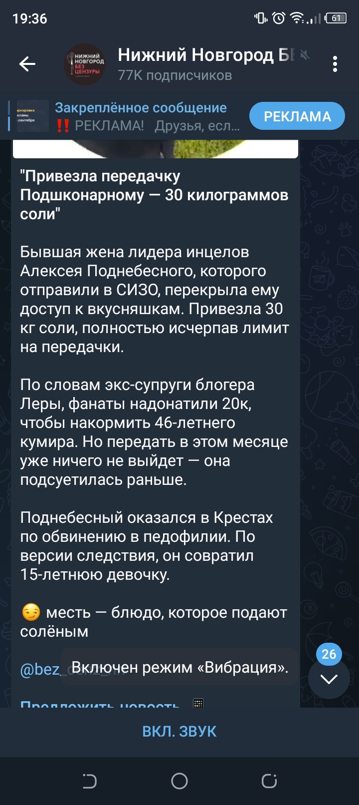 Месть - блюдо которое подают соленым))) - Инцелы, Скриншот, СИЗО, Жена, Месть, Неформалы, Видео, Длиннопост