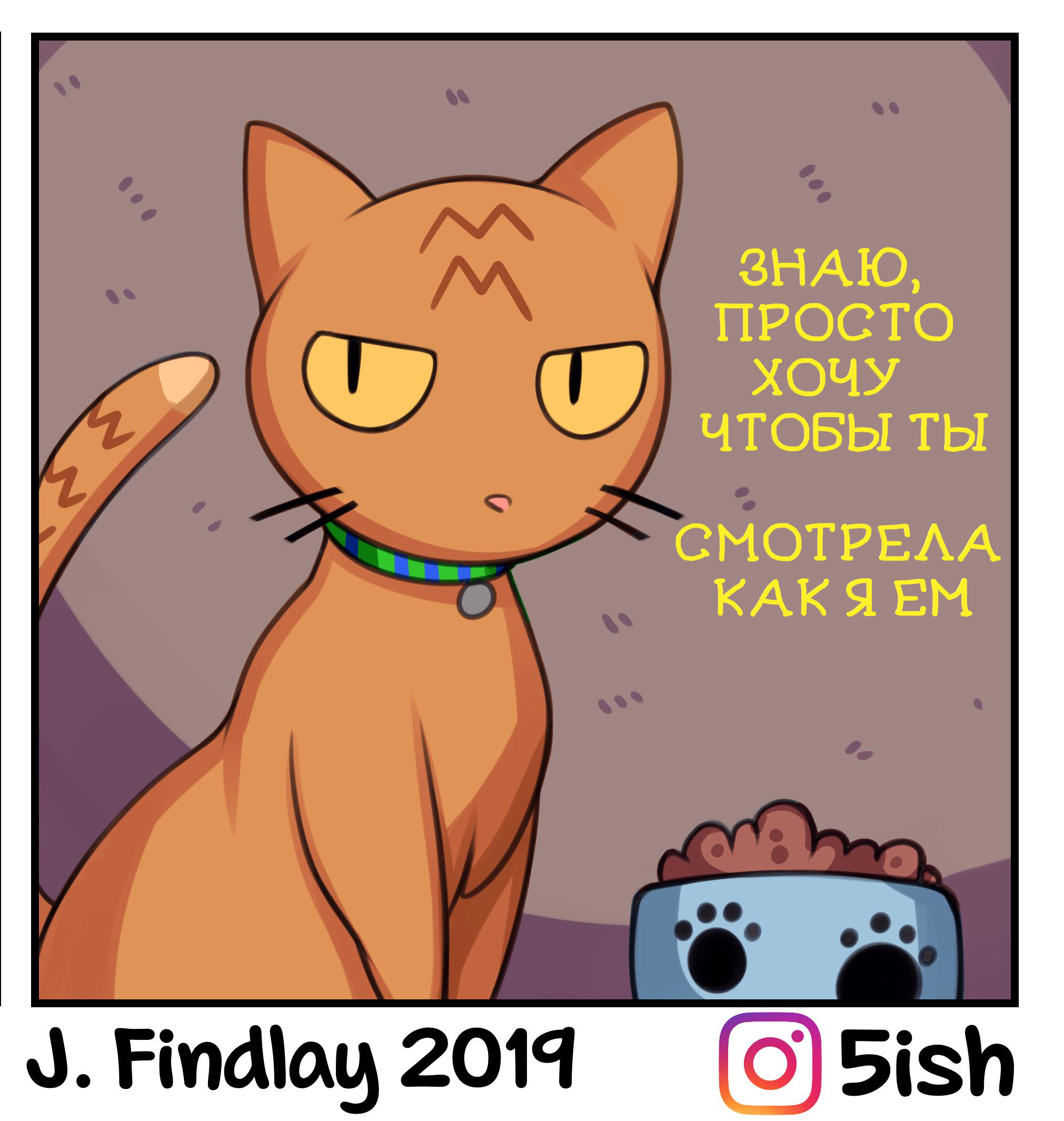 In the middle of the night - Picture with text, Comics, Translated by myself, 5ishart, Longpost, cat, Cat's food