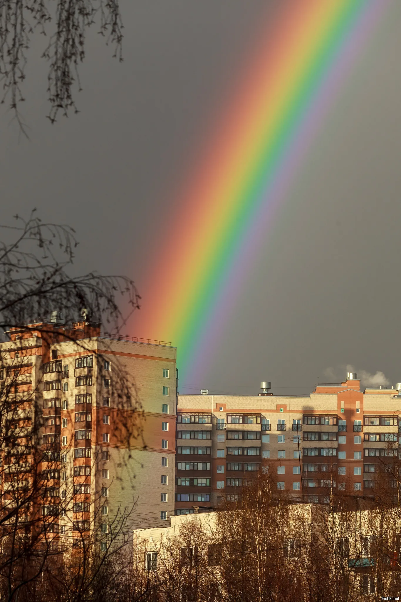 Rainbow - Rainbow, The photo