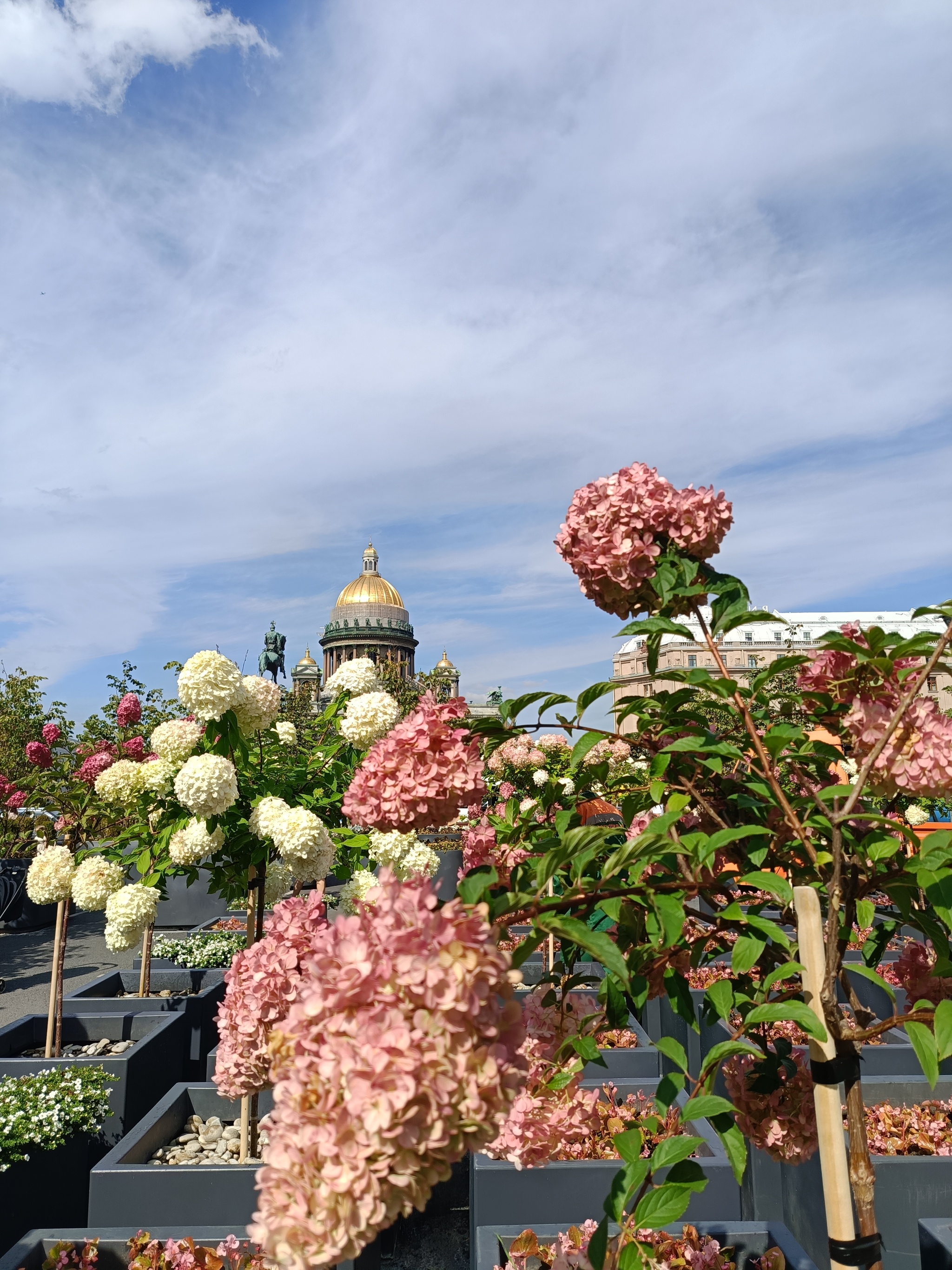 St. Isaac's Cathedral from the Blue Bridge - My, Street photography, Mobile photography, Saint Petersburg, Longpost