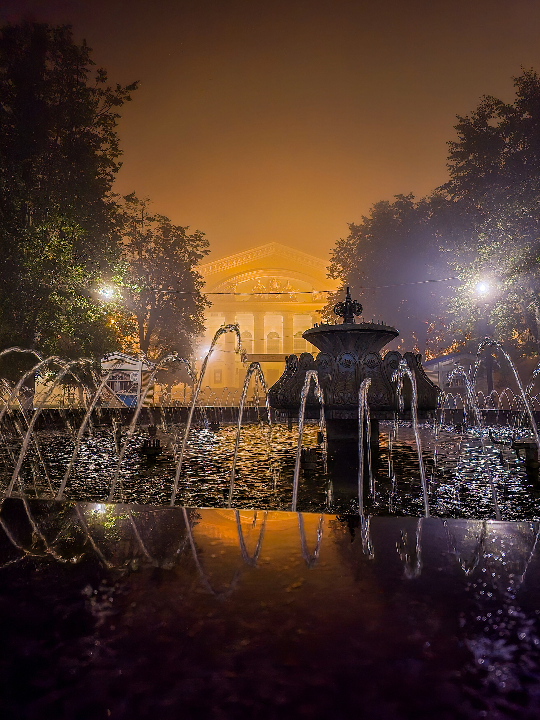 Fog - My, Mobile photography, Fog, City walk, Kaluga, Flowers, Night city, Longpost