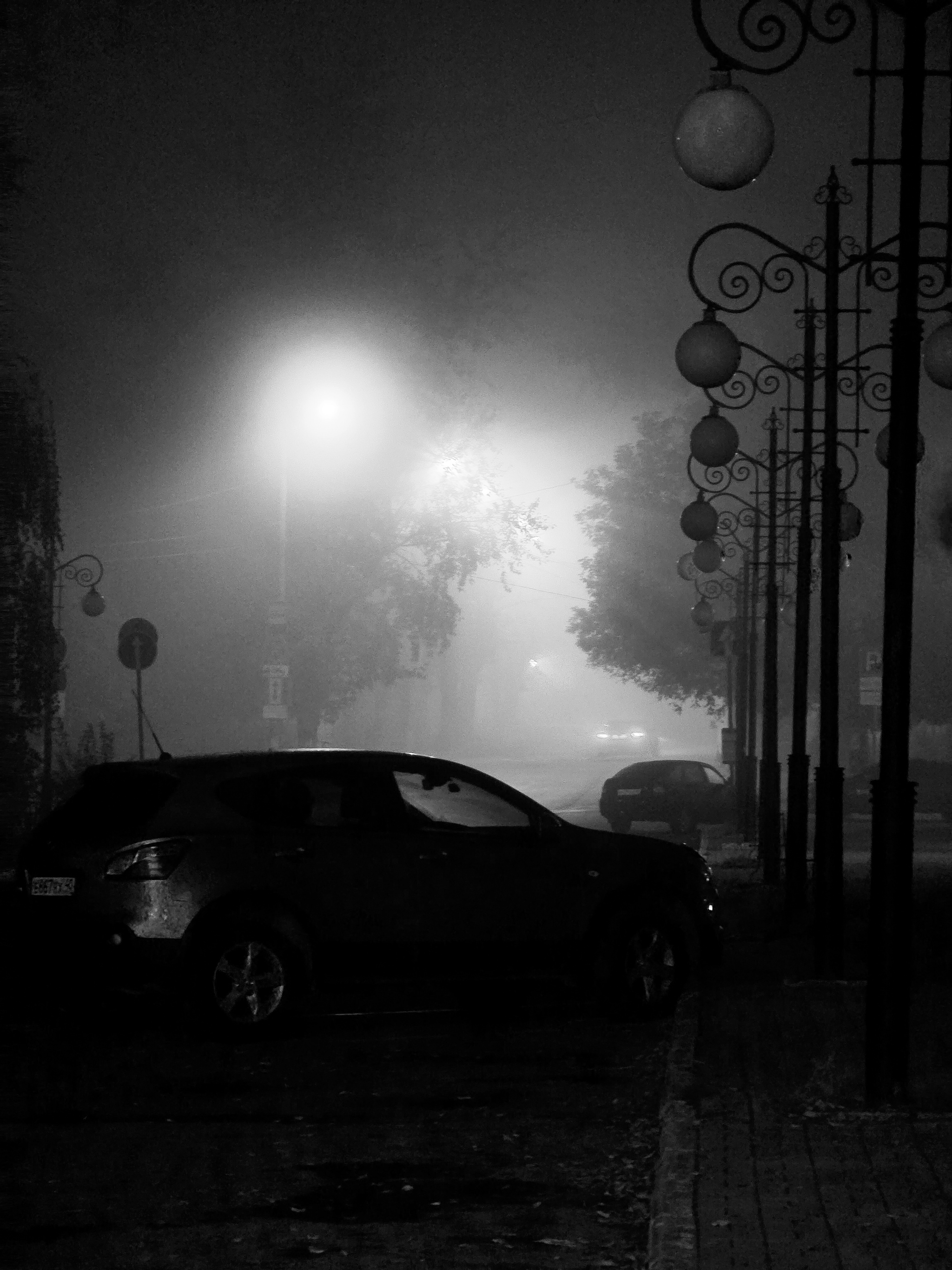 Fog - My, Mobile photography, Fog, City walk, Kaluga, Flowers, Night city, Longpost