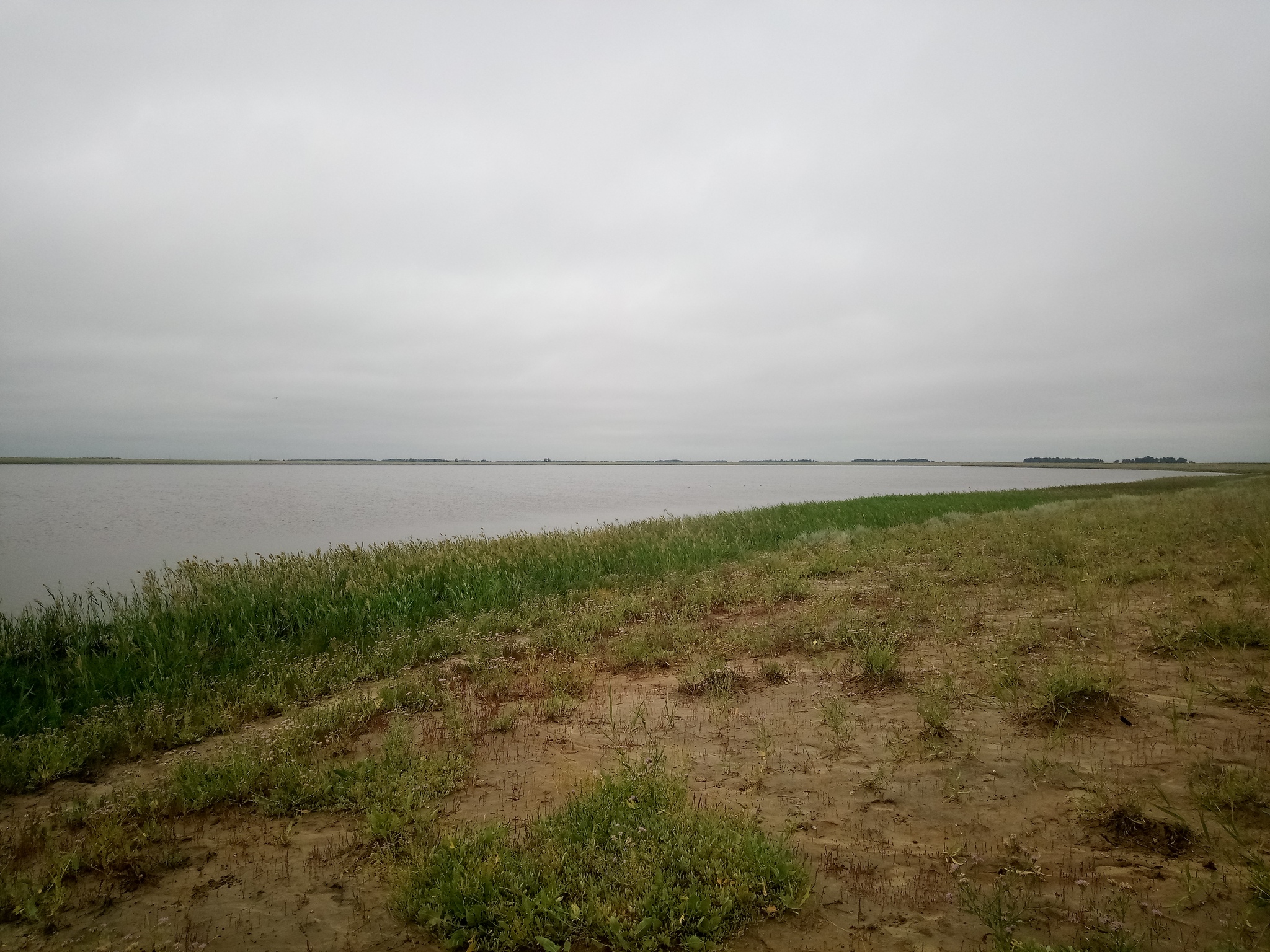 Kazakhstan. Pavlodar region. Zhelezinsky district - Local history, Railway, Kazakhstan, Pavlodar region, Steppe, Longpost