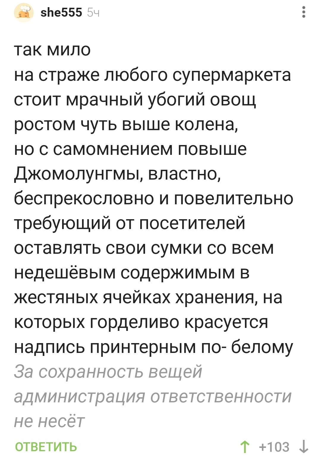 Ответственности не несем! - Охрана, Ответственность, Магазин, Комментарии на Пикабу, Скриншот