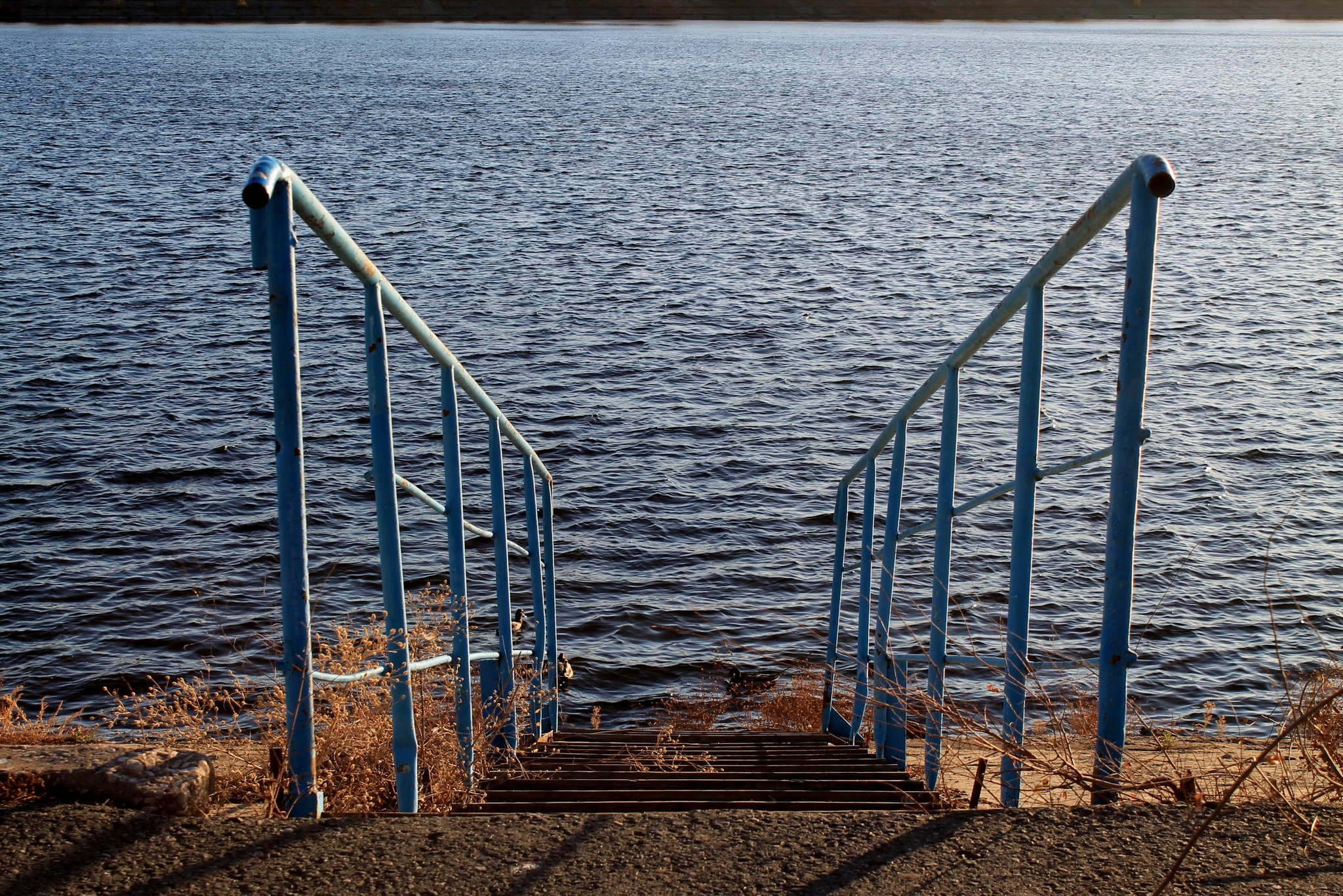 Ladder - The photo, Volga river, Summer