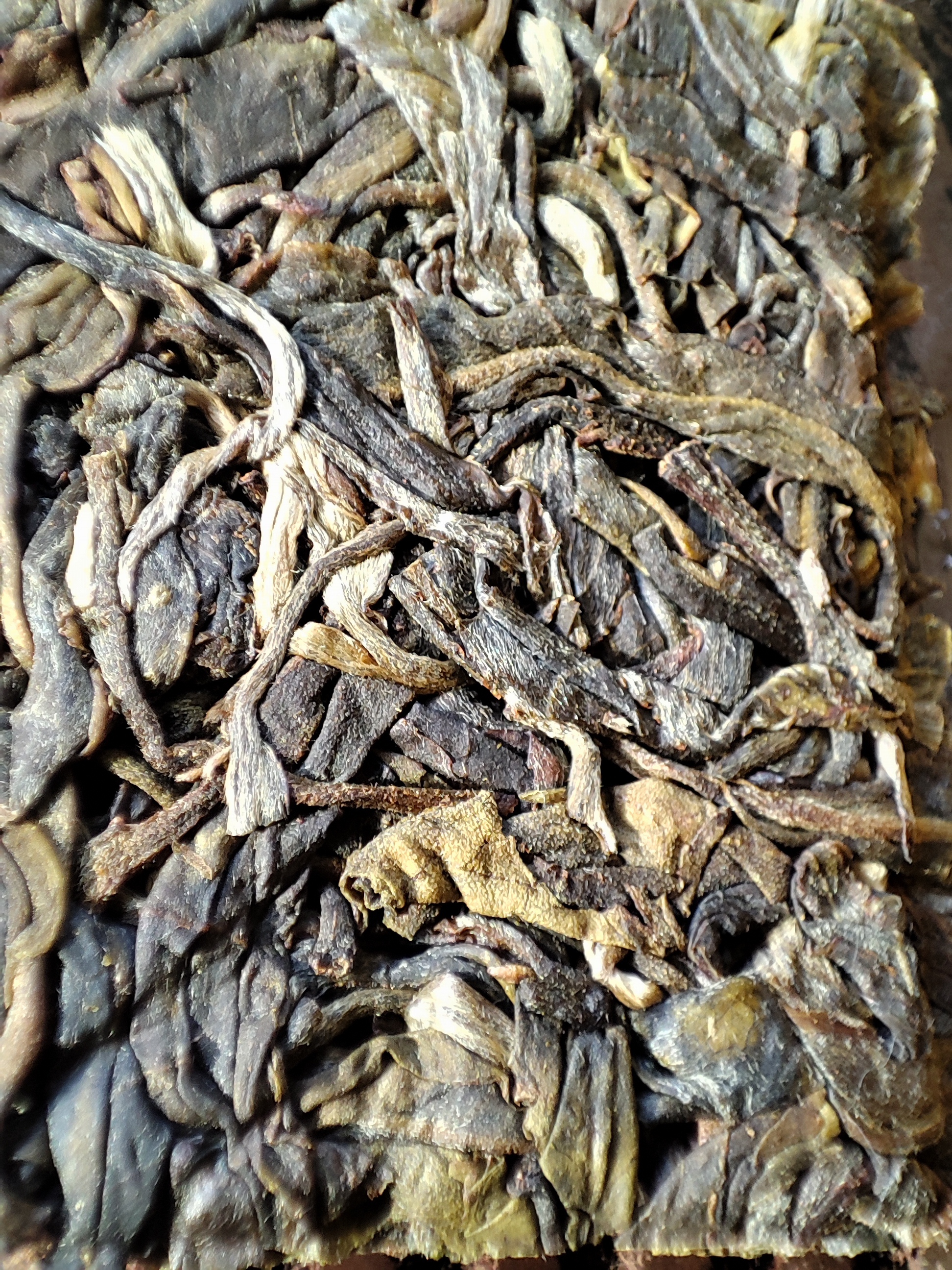 A treasure in a pile of samples! Shen Puer 'Zaichen' from the Youth Institute, harvested April 2019, pressed June 2019 - My, Tea, China, Mobile photography, beauty, Puer, Longpost