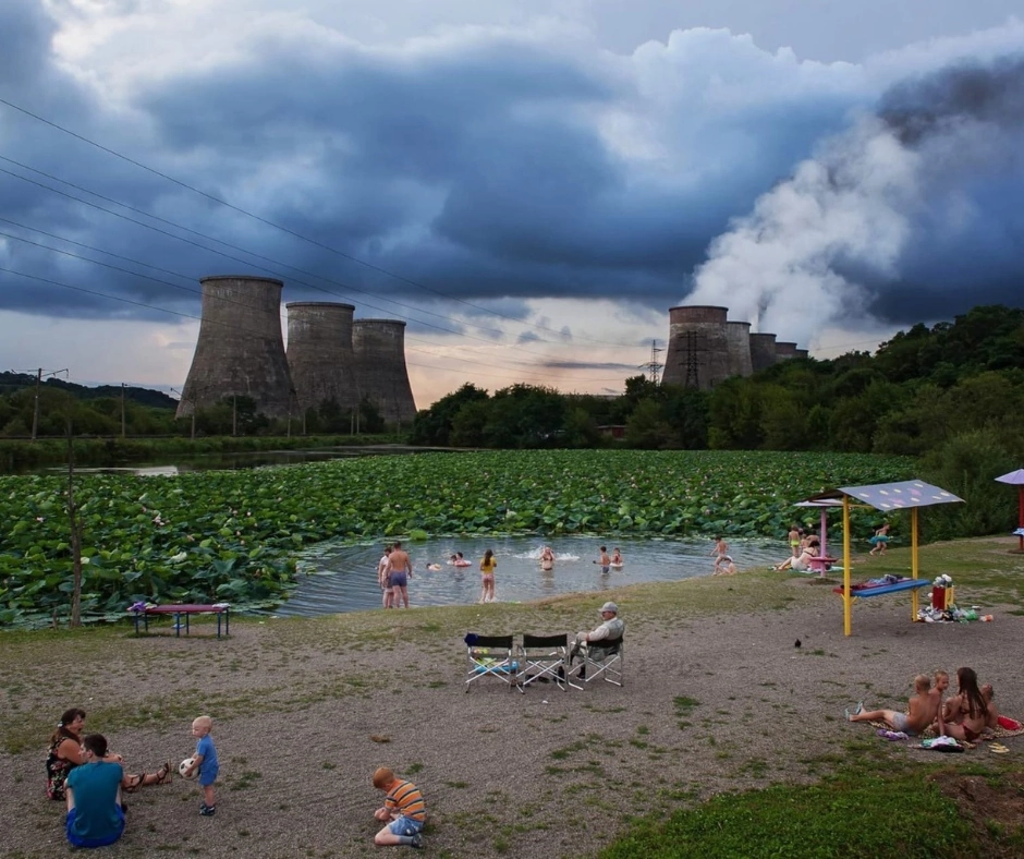 Lake of lotuses in Aptyom, Primorsky Krai - Primorsky Krai, The photo, Artem, Lotus