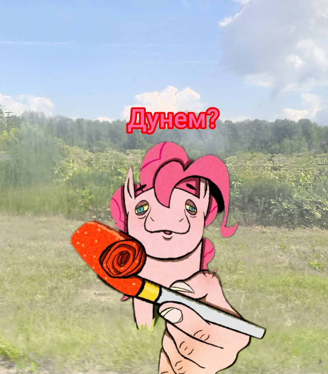 Duneta? - My, My little pony, Memes, Humor, Pinkie pie