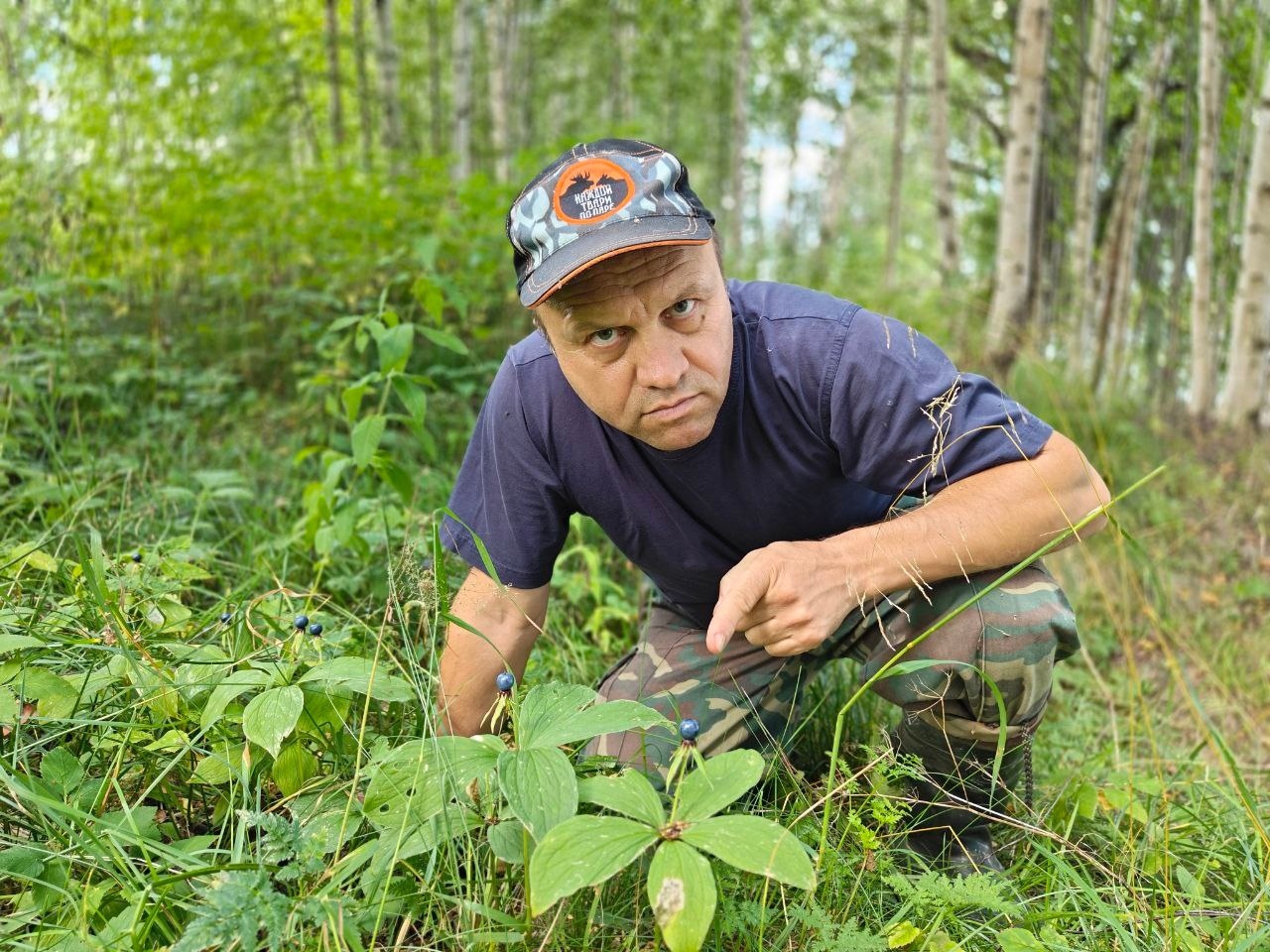 Внимание, поспел Вороний глаз - Моё, Ленинградская область, Природа России, Вороний глаз, Павел Глазков, Яд, Длиннопост