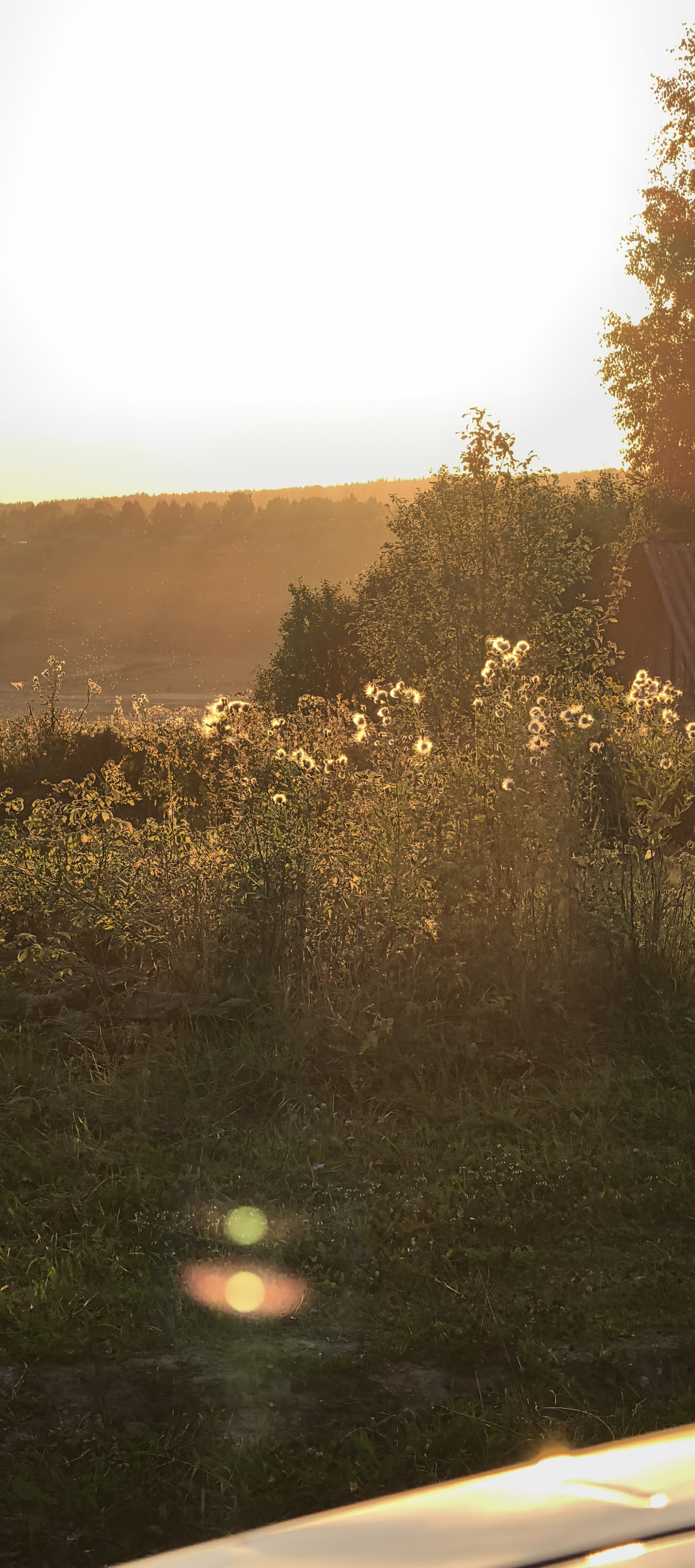 Stop, news, summer, everything - Stop, Teenagers, Village, Kochegarka, Hockey, Hike, Sunset, 3D, Architecture, Building, Longpost