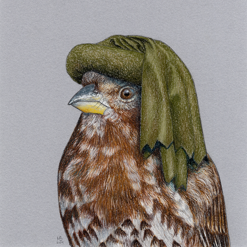 Pied-breasted Bunting - My, Art, Drawing, Birds, Animalistics, Traditional art, Birds in hats, Pastel, Oatmeal