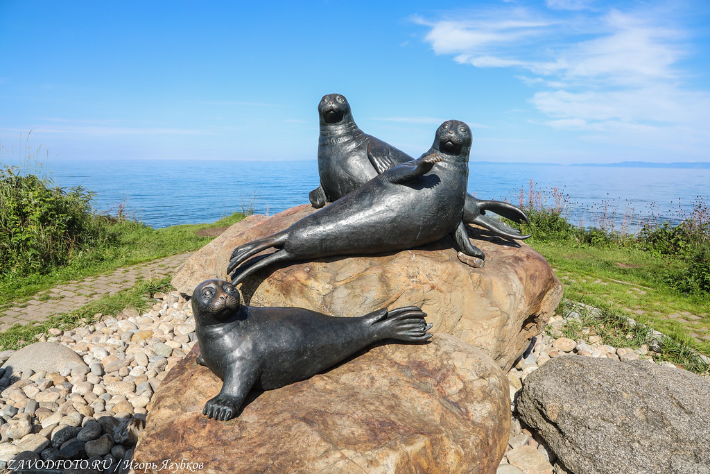 Following in the footsteps of the motor rally “Discovering Dalniy”. Visitor center Baikal Reserve (part 2) - My, Cities of Russia, sights, History, Road trip, Local history, Travel across Russia, Video, Youtube, Longpost