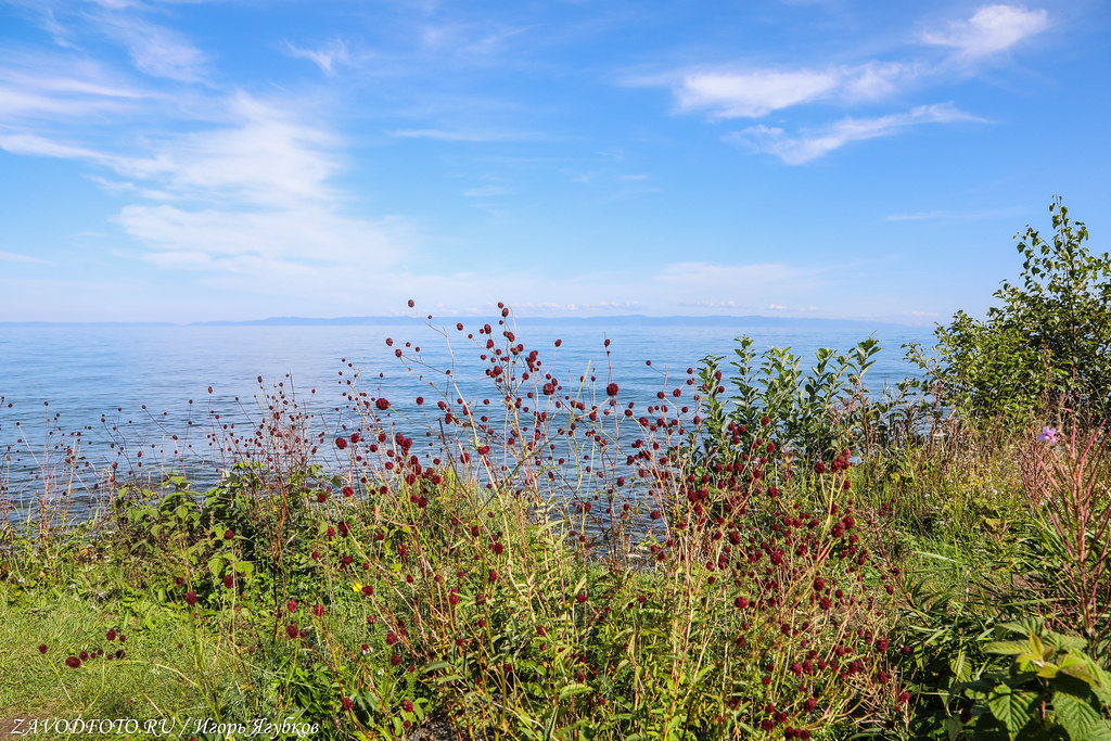 Following in the footsteps of the motor rally “Discovering Dalniy”. Visitor center Baikal Reserve (part 2) - My, Cities of Russia, sights, History, Road trip, Local history, Travel across Russia, Video, Youtube, Longpost