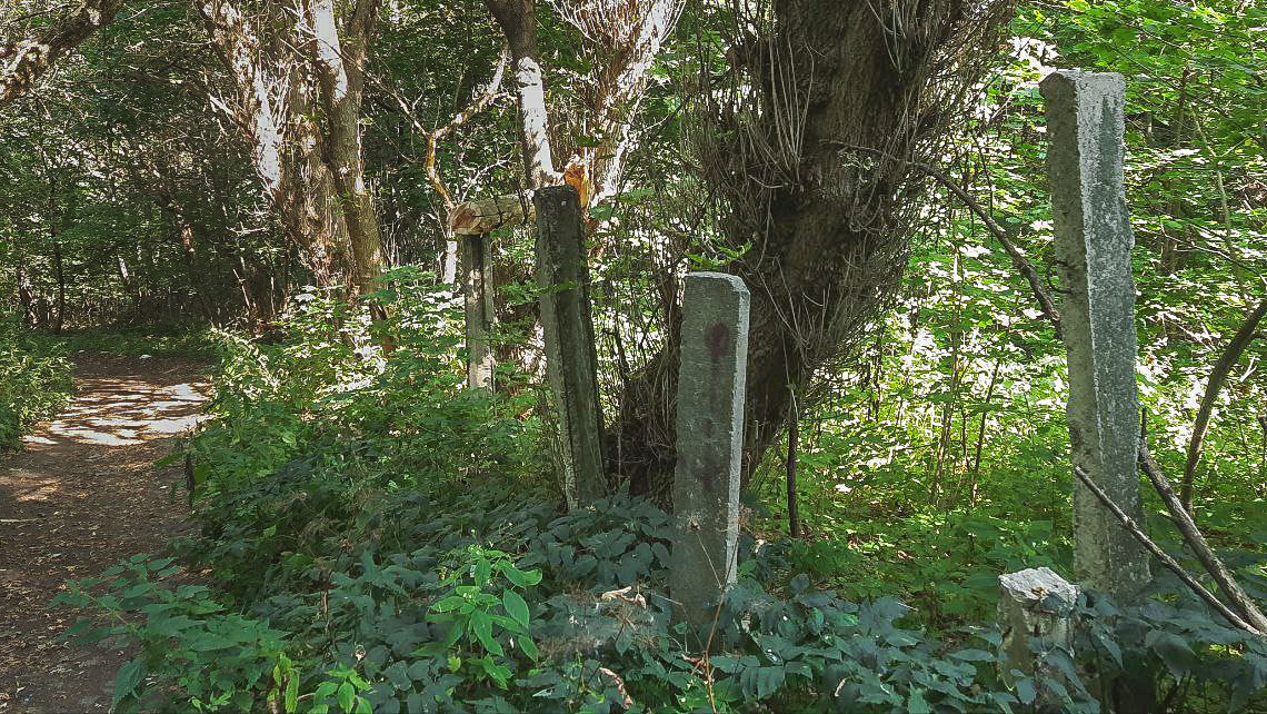 Artifacts of two almost extinct civilizations - My, Collapse of the USSR, Ruins, Count's ruins, Mobile photography, History, Pioneer camp, Chapel, Architecture, Architectural monument, Soviet architecture, Thicket, Memory, Monument, sights, Local history, Longpost